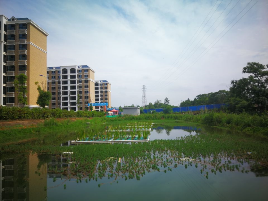 1660807790146067.png image.png