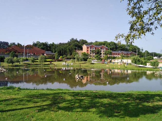 1666323808270422.jpg 10.jpg