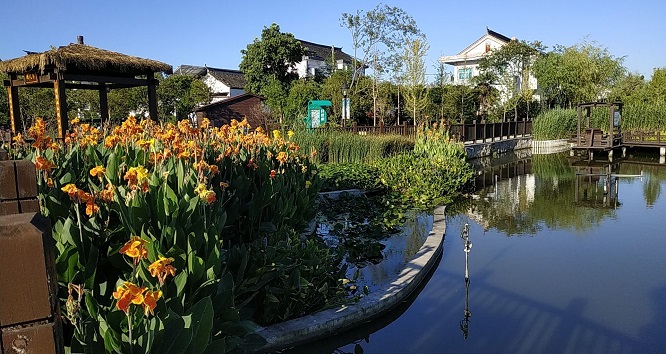 1668131534346856.jpg 8.jpg