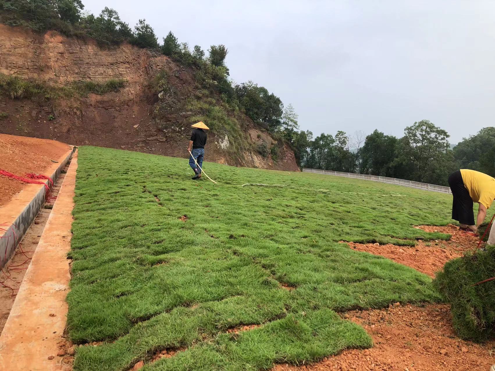 1706235725396942.jpg 微信圖片_20231107141146.jpg