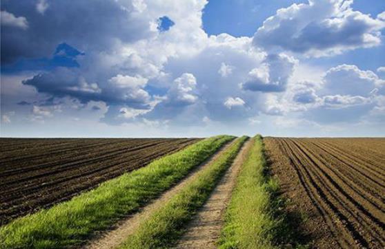 農(nóng)村環(huán)境綜合整治一般包含哪些內(nèi)容? 農(nóng)村環(huán)境綜合整治一般包含哪些內(nèi)容?